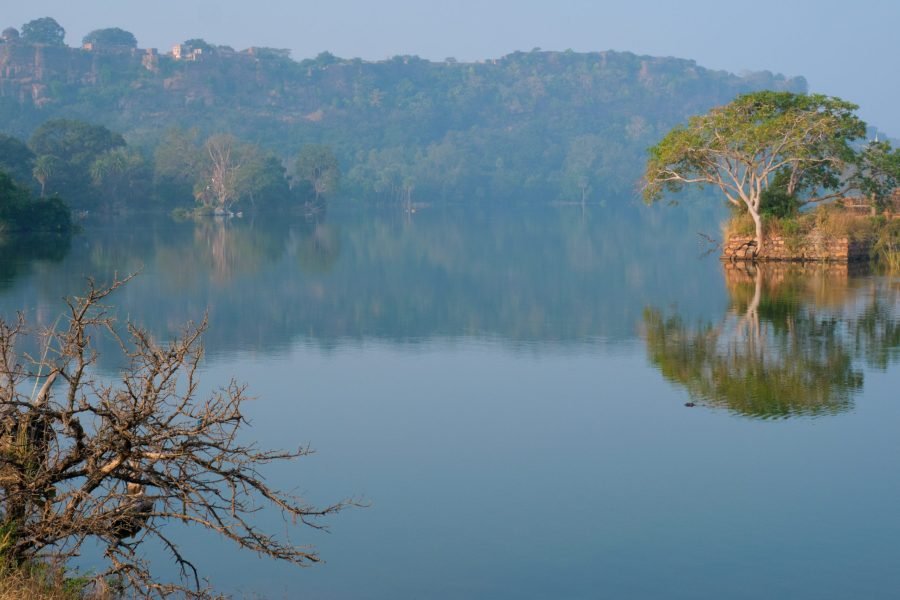 Ranthambore Roars: A Family Safari Adventure